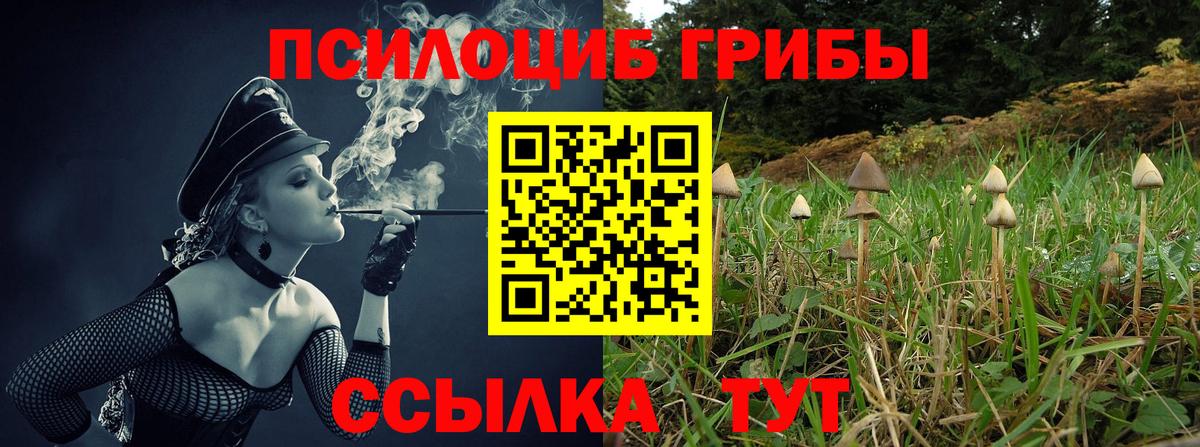 Отрадный  Галлюциногенные грибы MAGIC MUSHROOMS  Псилоцибиновые грибы Cubensis  Вход с VPN 